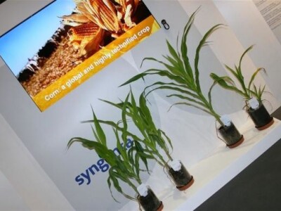Syngenta demo dani