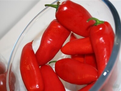 Syngenta demo dani - snack paprika