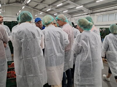 Szentesi paprike i rajčice ponos su Mađarske