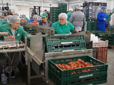 Szentesi paprike i rajčice ponos su Mađarske