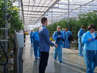 Szentesi paprike i rajčice ponos su Mađarske