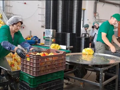 Szentesi paprike i rajčice ponos su Mađarske