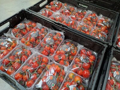 Szentesi paprike i rajčice ponos su Mađarske