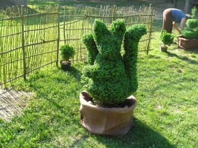 Topiari u obliku vjeverice