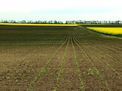 Väderstad - Tempo T6 sejalica