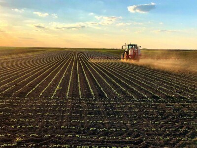 Väderstad - Tempo T6 sejalica