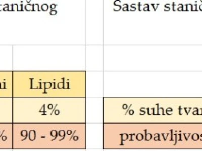 Silaža