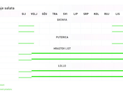 Bejo sorte salate Bejo sorte salate