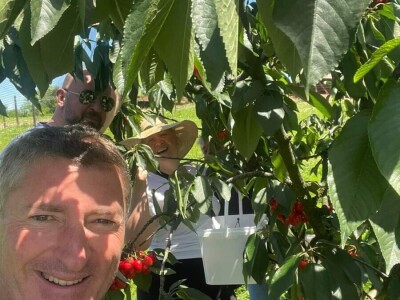 Tadić - Domaći proizvodi Tadić - Domaći proizvodi