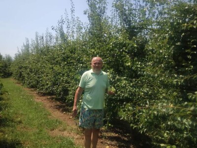 Tadić - Domaći proizvodi Tadić - Domaći proizvodi