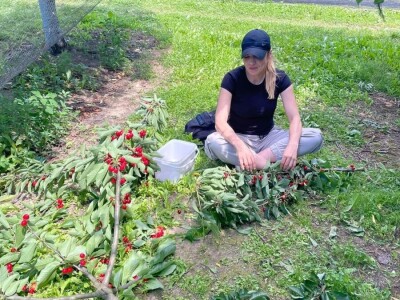 Tadić - Domaći proizvodi Tadić - Domaći proizvodi