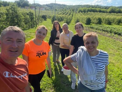 Tadić - Domaći proizvodi Tadić - Domaći proizvodi