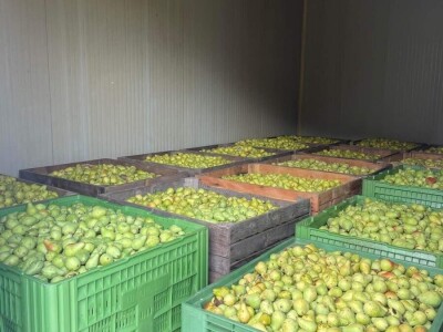 Tadić - Domaći proizvodi Tadić - Domaći proizvodi