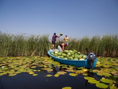 Takav se prizor rijetko gdje može vidjeti i doživjeti