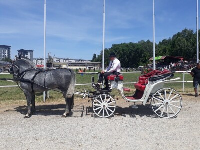 Takmičenje fijakera