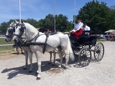 Takmičenje fijakera