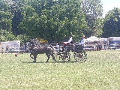 Takmičenje fijakera