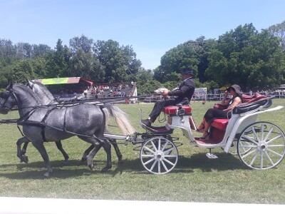 Takmičenje fijakera