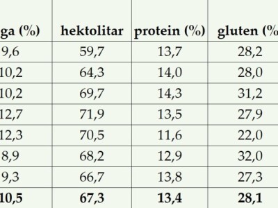 Pokus ozime pšenice na parcelama Alena Šopara