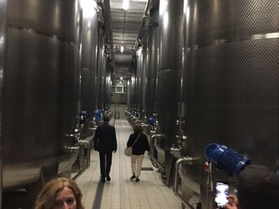 TALIJANSKA AKADEMIJA ZA LOZU I VINO - Prof. Edi Maletić: Talijanska struka nema ništa protiv našeg Prošeka! TALIJANSKA AKADEMIJA ZA LOZU I VINO - Prof. Edi Maletić: Talijanska struka nema ništa protiv našeg Prošeka!