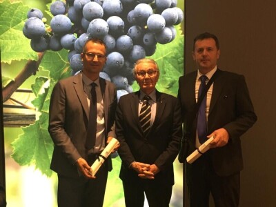 TALIJANSKA AKADEMIJA ZA LOZU I VINO - Prof. Edi Maletić: Talijanska struka nema ništa protiv našeg Prošeka! TALIJANSKA AKADEMIJA ZA LOZU I VINO - Prof. Edi Maletić: Talijanska struka nema ništa protiv našeg Prošeka!