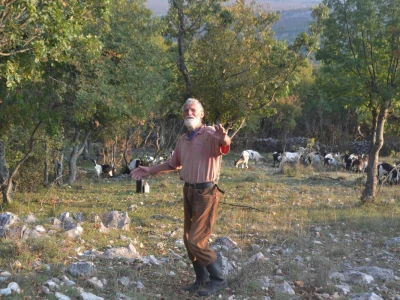 Dmitar Radmilović