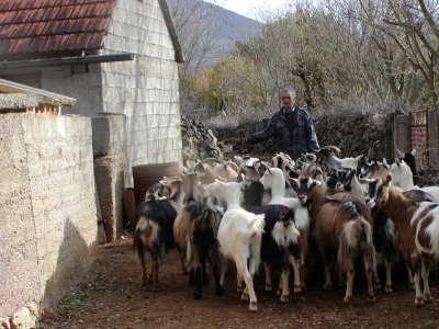 Slavko Jovančević