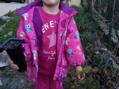 Maja odmalena uči o tartufima od tate Davora