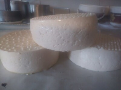 Tatjana Vasković: Sir je gospodin, moraš mu se posvetiti Tatjana Vasković: Sir je gospodin, moraš mu se posvetiti