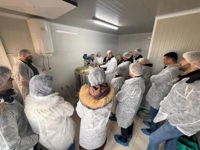 Tehnologija proizvodnje sira na farmi krava "Jokić"