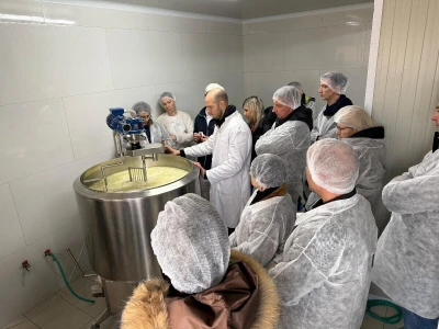 Tehnologija proizvodnje sira na farmi krava "Jokić"
