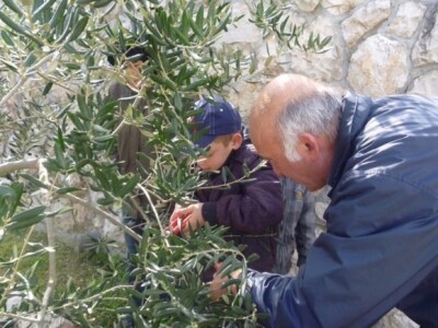 Tek gdjegdje potomci, unuci, slijede svoje pretke-djedove Tek gdjegdje potomci, unuci, slijede svoje pretke-djedove