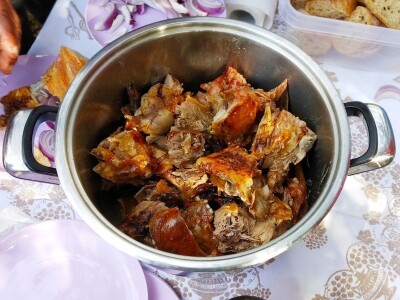 TEKUĆE ZLATO  U PETRČANIMA -  Kapetani duge plovidbe u berbi maslina Vilima Gržana