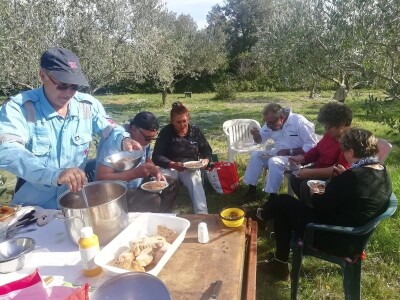 TEKUĆE ZLATO  U PETRČANIMA -  Kapetani duge plovidbe u berbi maslina Vilima Gržana