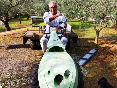 TEKUĆE ZLATO  U PETRČANIMA -  Kapetani duge plovidbe u berbi maslina Vilima Gržana