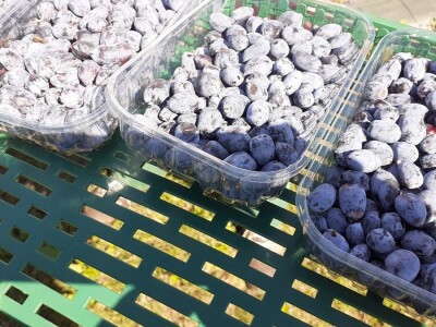 Tematska sjednica Odbora za poljoprivredu