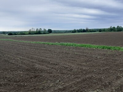 Tematska sjednica Odbora za poljoprivredu