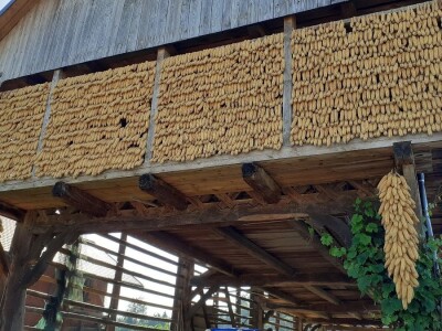 Tematska sjednica Odbora za poljoprivredu