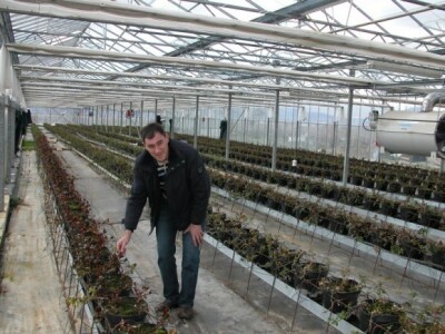 Teo pokazuje pupoljke ruža u svom bivšem ružičnjaku