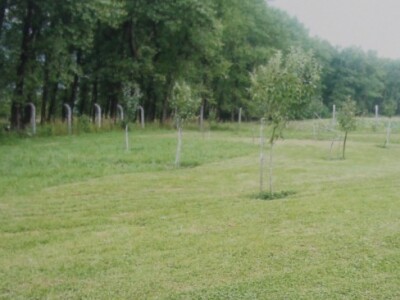 Terapijska zajednica Bihać