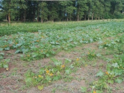 Terapijska zajednica Bihać