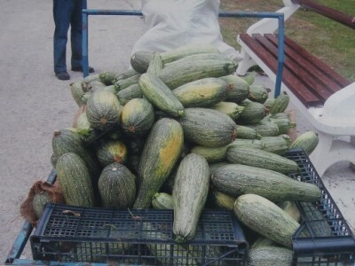 Terapijska zajednica Bihać