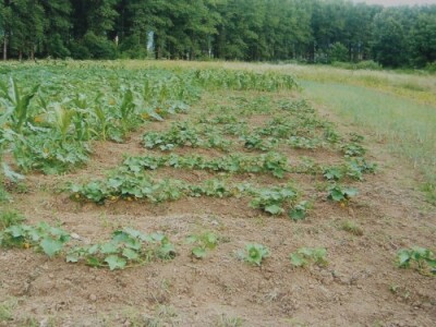 Terapijska zajednica Bihać