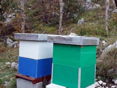 Termos-košnice