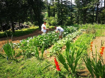 Terra Pomarium obitelji Uremović