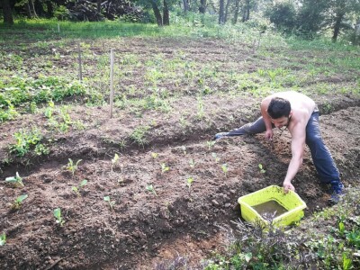 Terra Pomarium obitelji Uremović