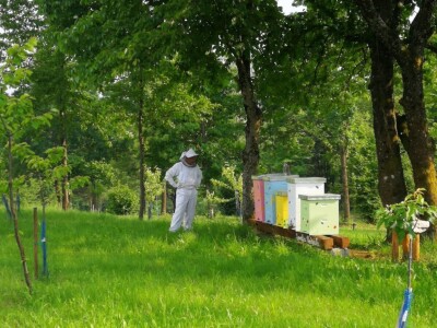 Terra Pomarium obitelji Uremović