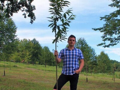 Terra Pomarium obitelji Uremović