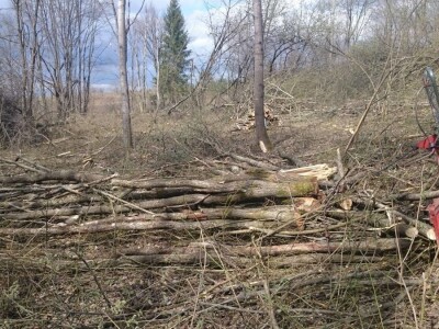 Terra Pomarium obitelji Uremović