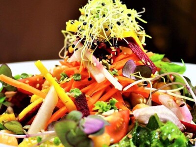 Terra Pomarium obitelji Uremović